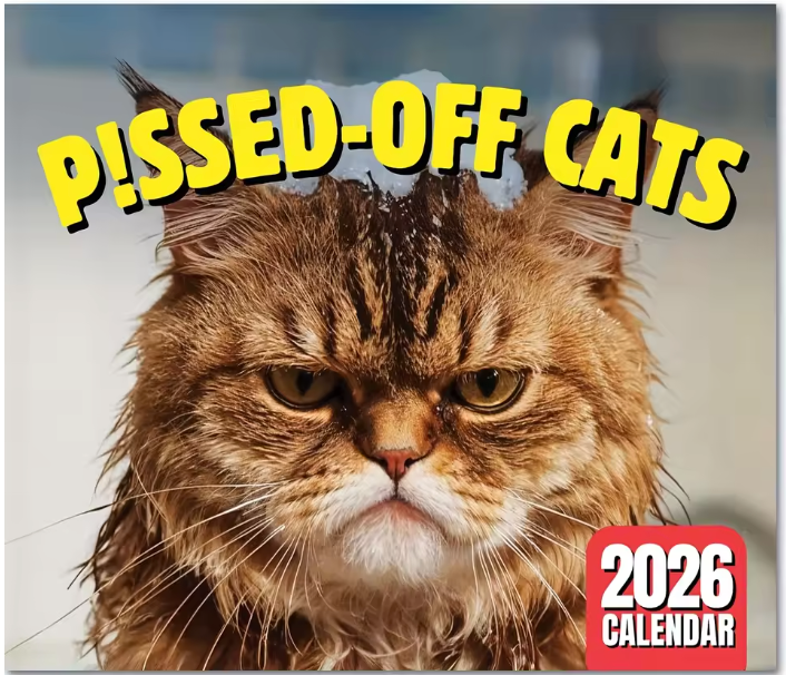 Funny 2026 wall calendar featuring pissed-off cats. Printed on quality paper with a sturdy spiral binding. A perfect gift for cat lovers.